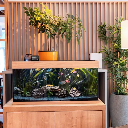 Stil Hotel Bucharest